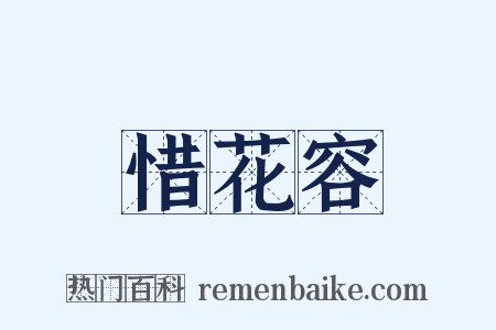 惜花容是什么意思的图片